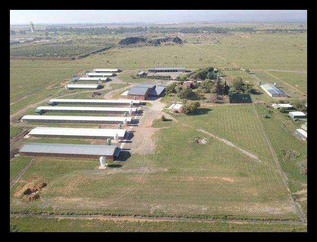 FARM FOR SALE IN WELKOM RURAL